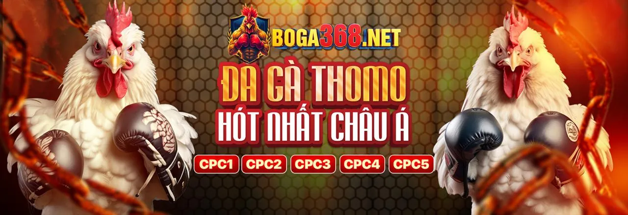 Đá gà WinVN trực tuyến sôi động với khuyến mãi lớn 2026