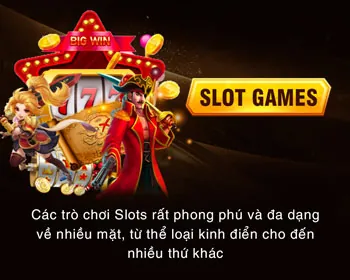 Hỗ trợ khách hàng 24/7 WinVN