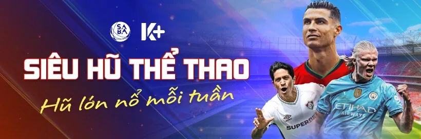Hoàn trả cược thua WinVN